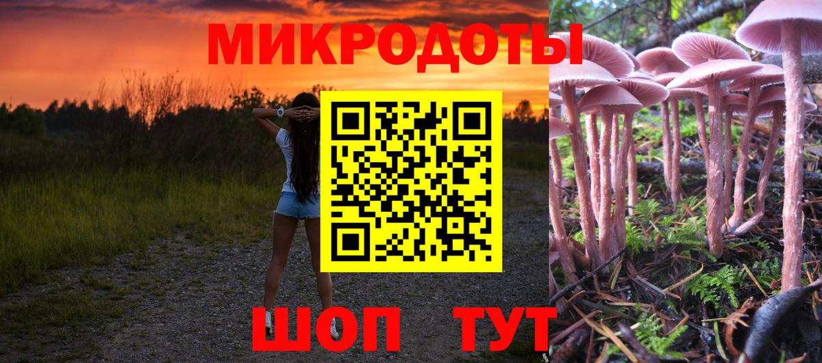 Псилоцибиновые грибы мицелий Владивосток